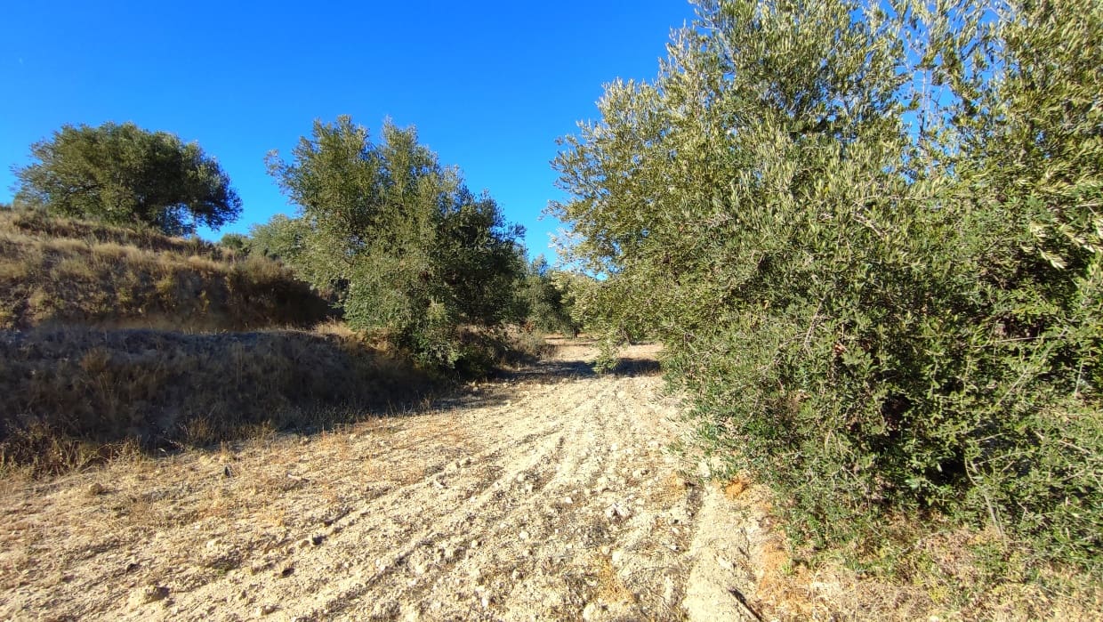 4 soveværelse Byhus til salg i Velez-Blanco - € 49.900 (Ref: 8417262)