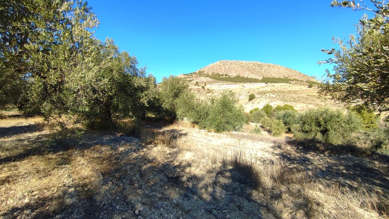 4 soveværelse Byhus til salg i Velez-Blanco - € 49.900 (Ref: 8417262)