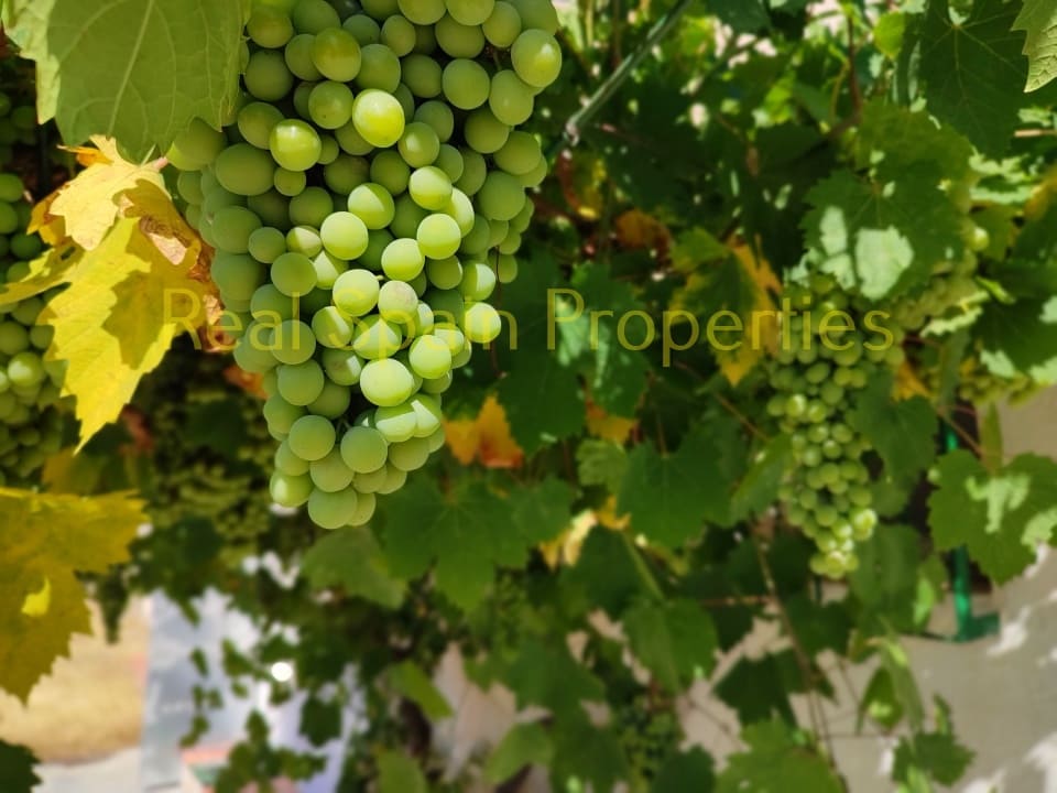 6 soveværelse Finca/Landehus til salg i Velez-Rubio - € 95.000 (Ref: 8417266)