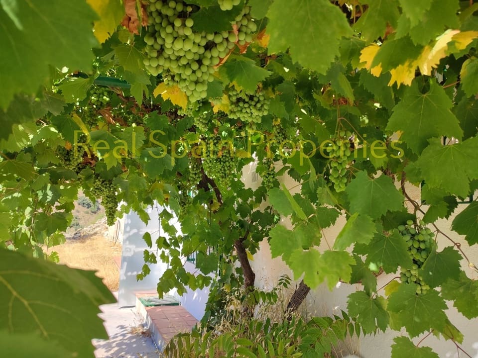 6 soveværelse Finca/Landehus til salg i Velez-Rubio - € 95.000 (Ref: 8417266)