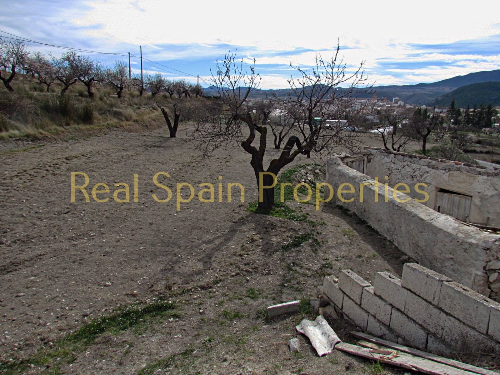 3 bedroom Finca/Country House for sale in Velez-Rubio - € 60,000 (Ref: 8417270)