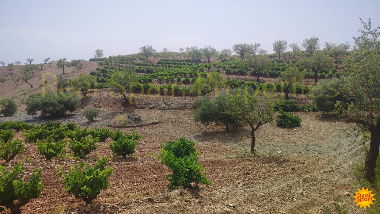 Undeveloped Land for sale in Velez-Rubio - € 87,000 (Ref: 8417271)