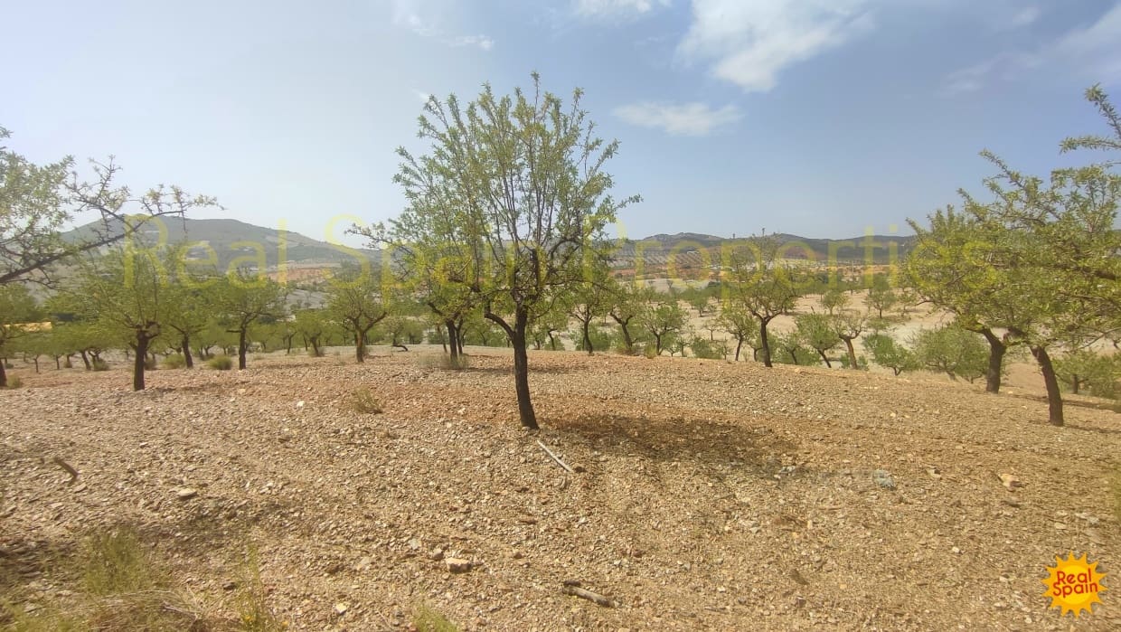 Undeveloped Land for sale in Velez-Rubio - € 87,000 (Ref: 8417271)