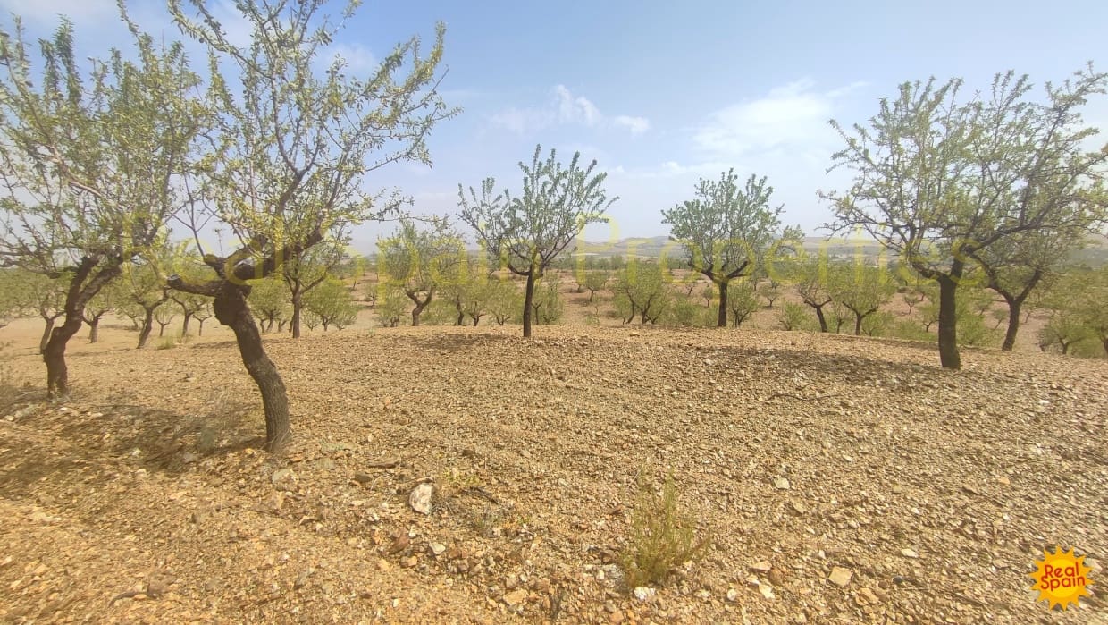 Undeveloped Land for sale in Velez-Rubio - € 87,000 (Ref: 8417271)