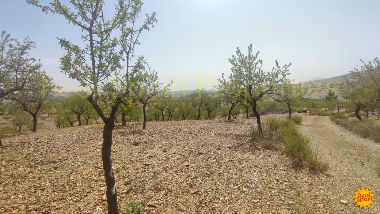 Undeveloped Land for sale in Velez-Rubio - € 87,000 (Ref: 8417271)