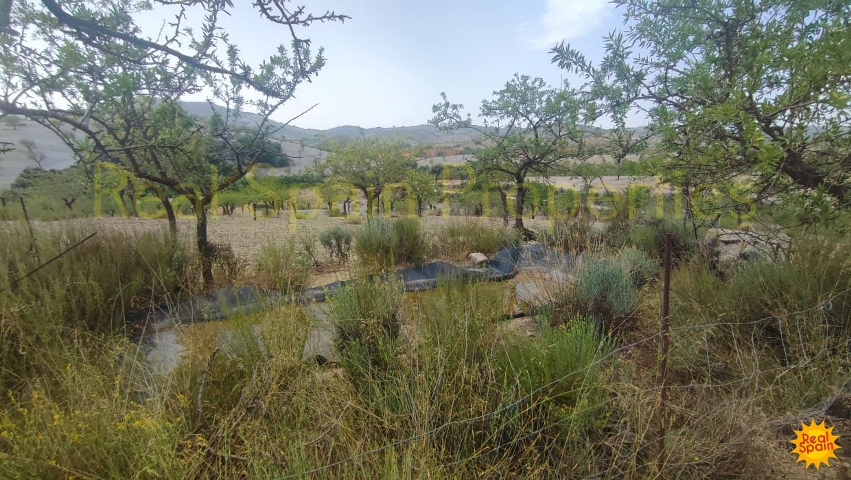 Undeveloped Land for sale in Velez-Rubio - € 87,000 (Ref: 8417271)