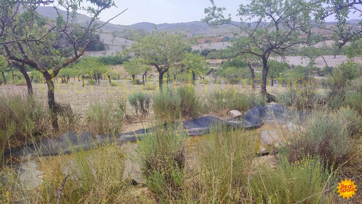 Undeveloped Land for sale in Velez-Rubio - € 87,000 (Ref: 8417271)