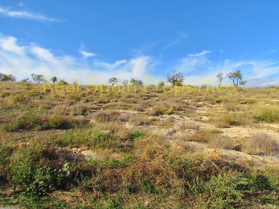 4 soveværelse Finca/Landehus til salg i Velez-Blanco - € 75.000 (Ref: 8417288)