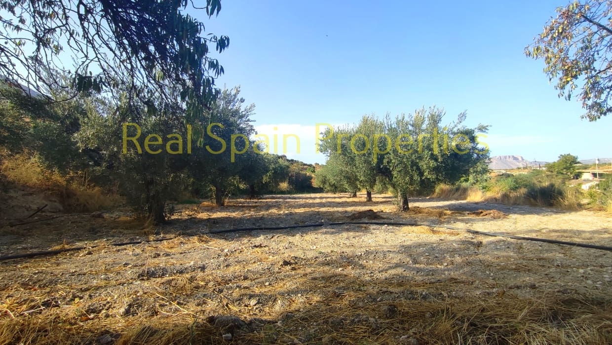 2 sovrum Finca/Hus på landet till salu i Velez-Blanco - 125 000 € (Ref: 8417302)