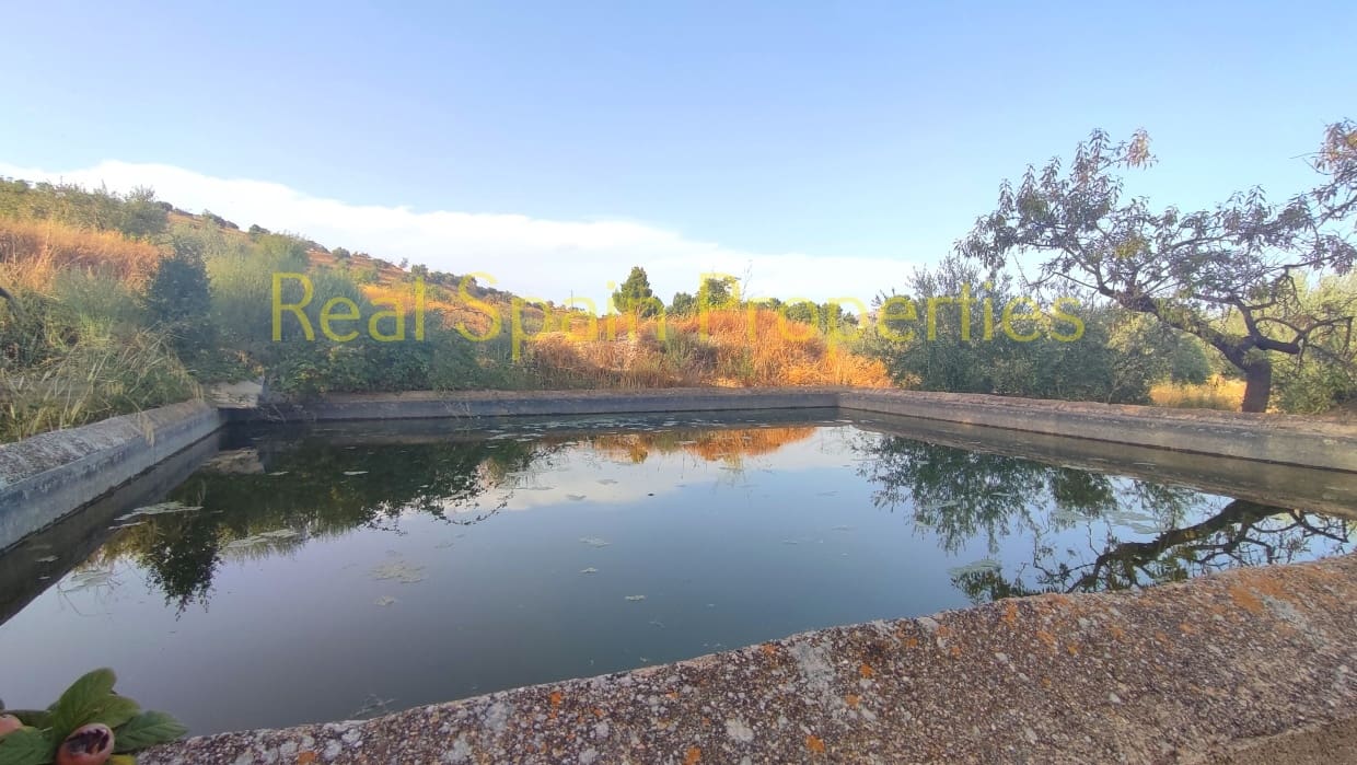 2 sovrum Finca/Hus på landet till salu i Velez-Blanco - 125 000 € (Ref: 8417302)