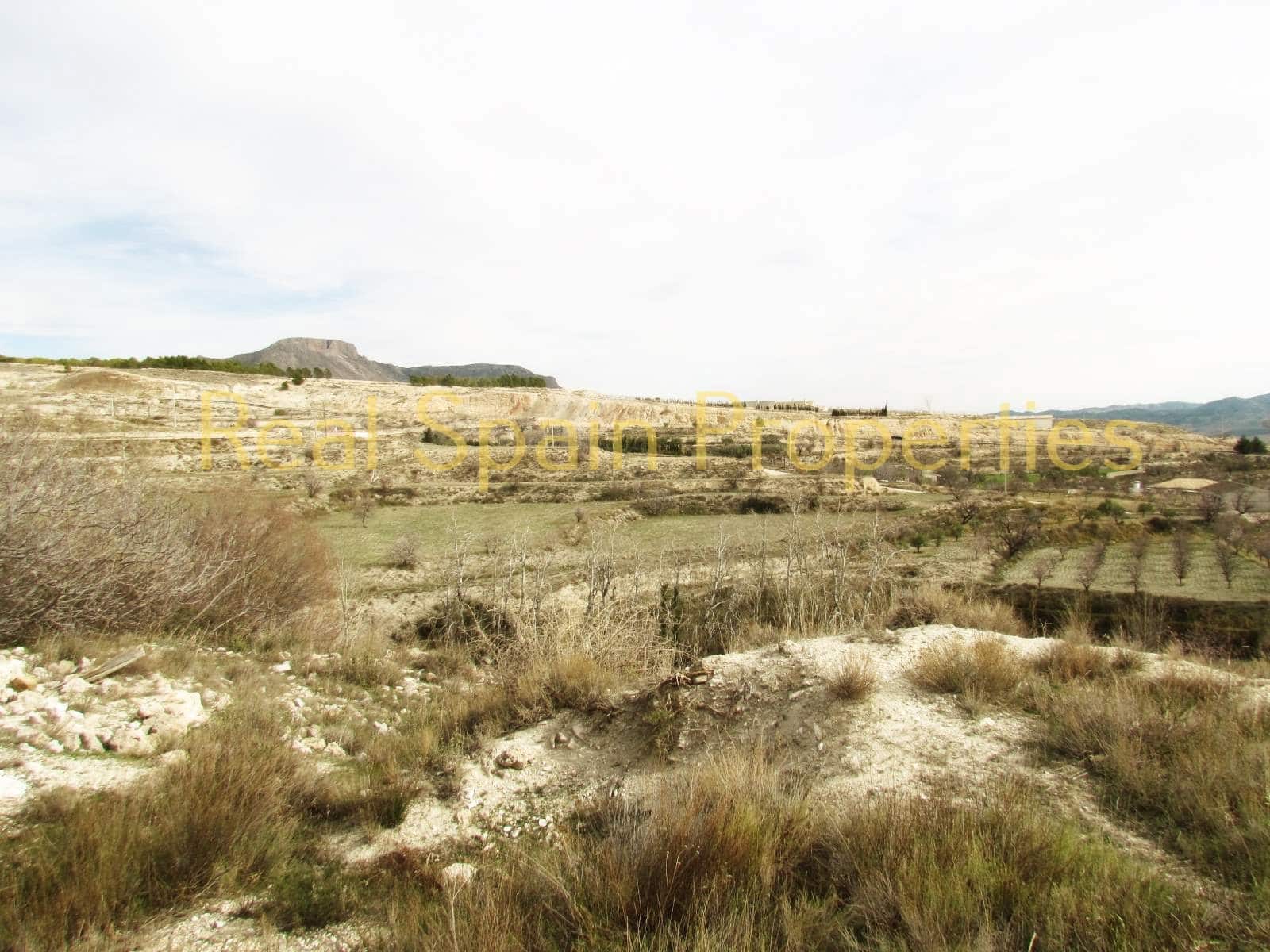 Grunde uden byggetilladelser til salg i Velez-Blanco - € 15.000 (Ref: 8417306)