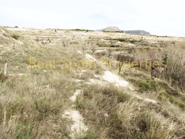 Undeveloped Land for sale in Vélez-Blanco - € 15,000 (Ref: 8417306)
