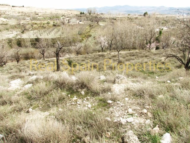 Undeveloped Land for sale in Vélez-Blanco - € 15,000 (Ref: 8417306)