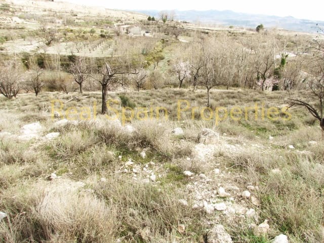 Undeveloped Land for sale in Vélez-Blanco - € 15,000 (Ref: 8417306)
