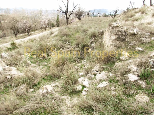 Undeveloped Land for sale in Vélez-Blanco - € 15,000 (Ref: 8417306)