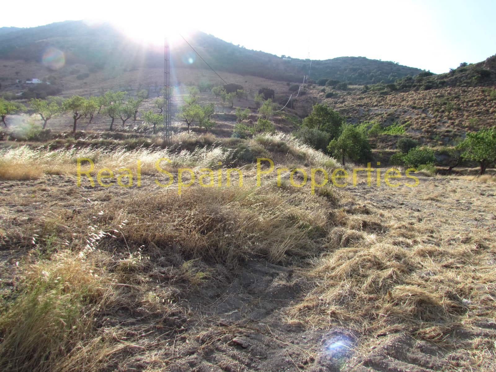 5 camera da letto Finca/Casa di Campagna in vendita in Velez-Rubio - 98.000 € (Rif: 8417307)