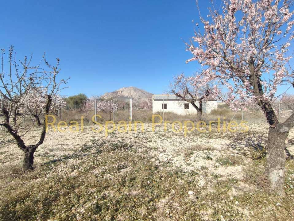 Undeveloped Land for sale in Velez-Rubio - € 24,950 (Ref: 8417310)