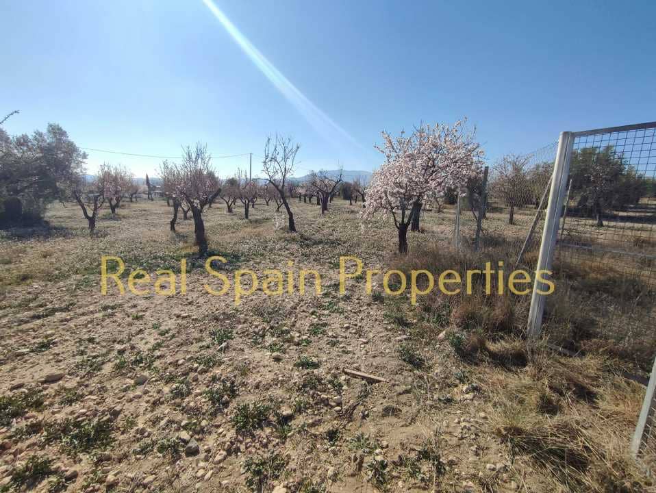 Undeveloped Land for sale in Velez-Rubio - € 24,950 (Ref: 8417310)