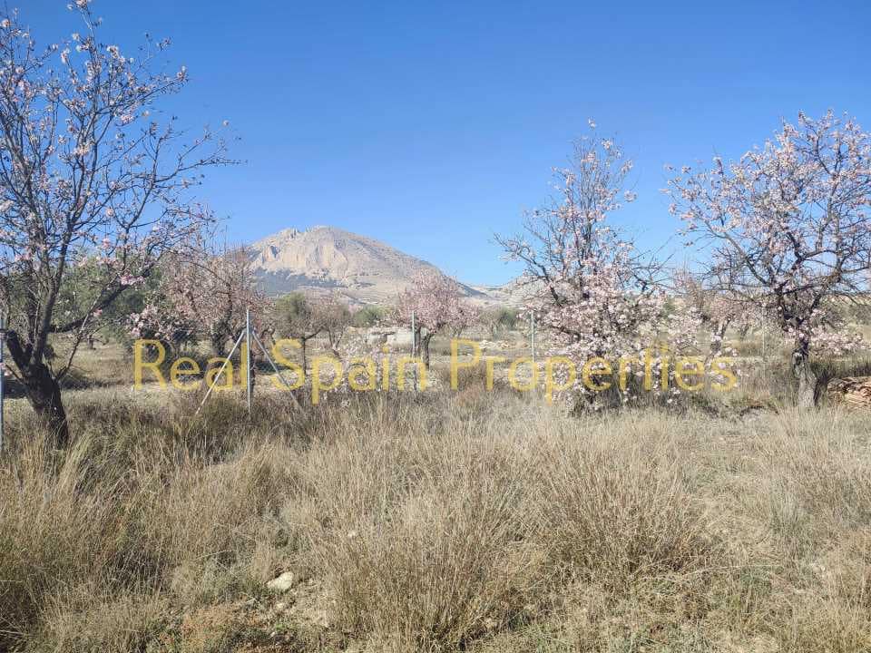 Undeveloped Land for sale in Velez-Rubio - € 24,950 (Ref: 8417310)