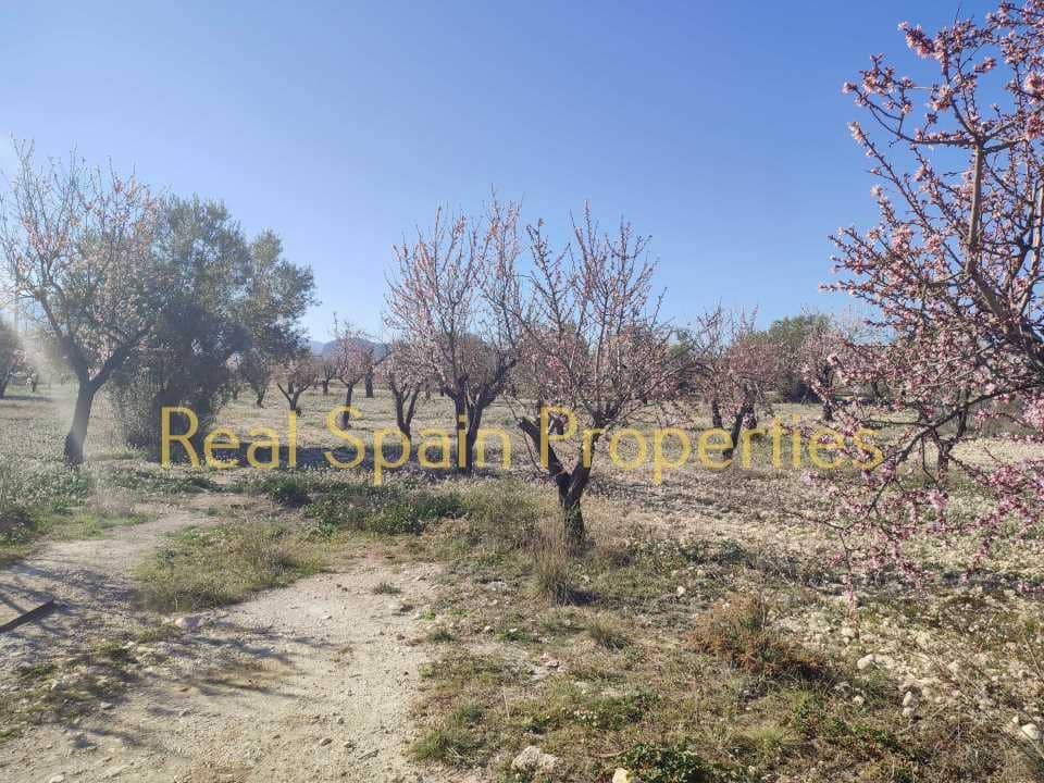 Undeveloped Land for sale in Velez-Rubio - € 24,950 (Ref: 8417310)