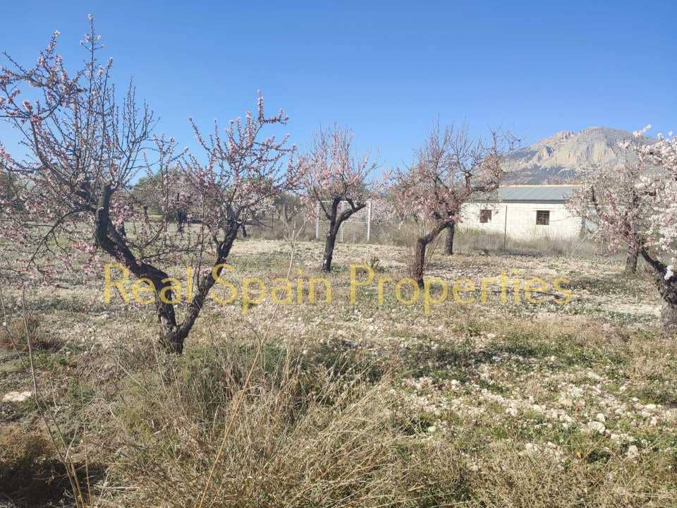 Undeveloped Land for sale in Velez-Rubio - € 24,950 (Ref: 8417310)