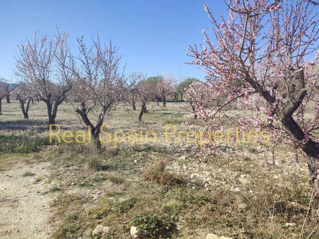 Mark till salu i Vélez-Rubio - 24 950 € (Ref: 8417310)