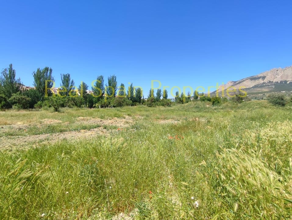 Mark till salu i Velez-Rubio - 90 000 € (Ref: 8417312)