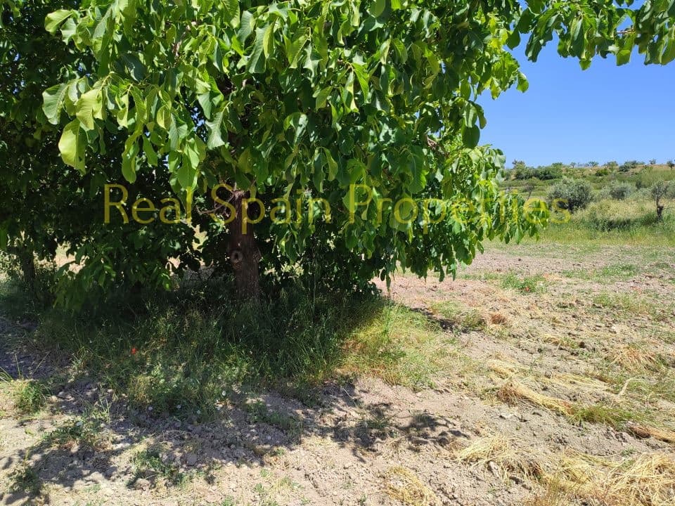 Mark till salu i Velez-Rubio - 90 000 € (Ref: 8417312)