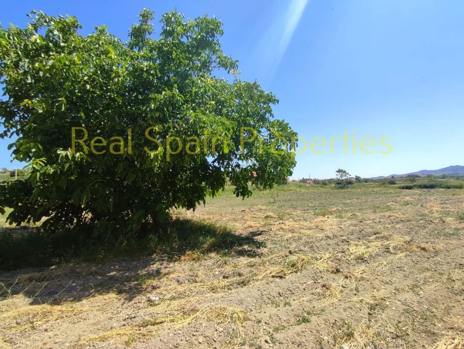 Mark till salu i Velez-Rubio - 90 000 € (Ref: 8417312)