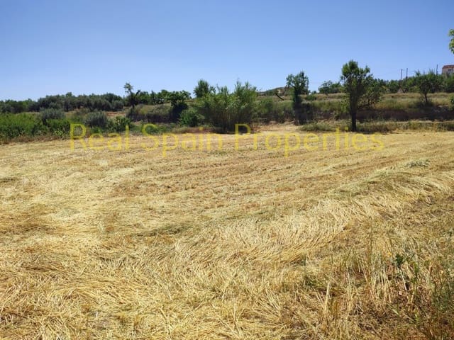 2 sovrum Finca/Hus på landet till salu i Vélez-Rubio - 75 000 € (Ref: 8417314)