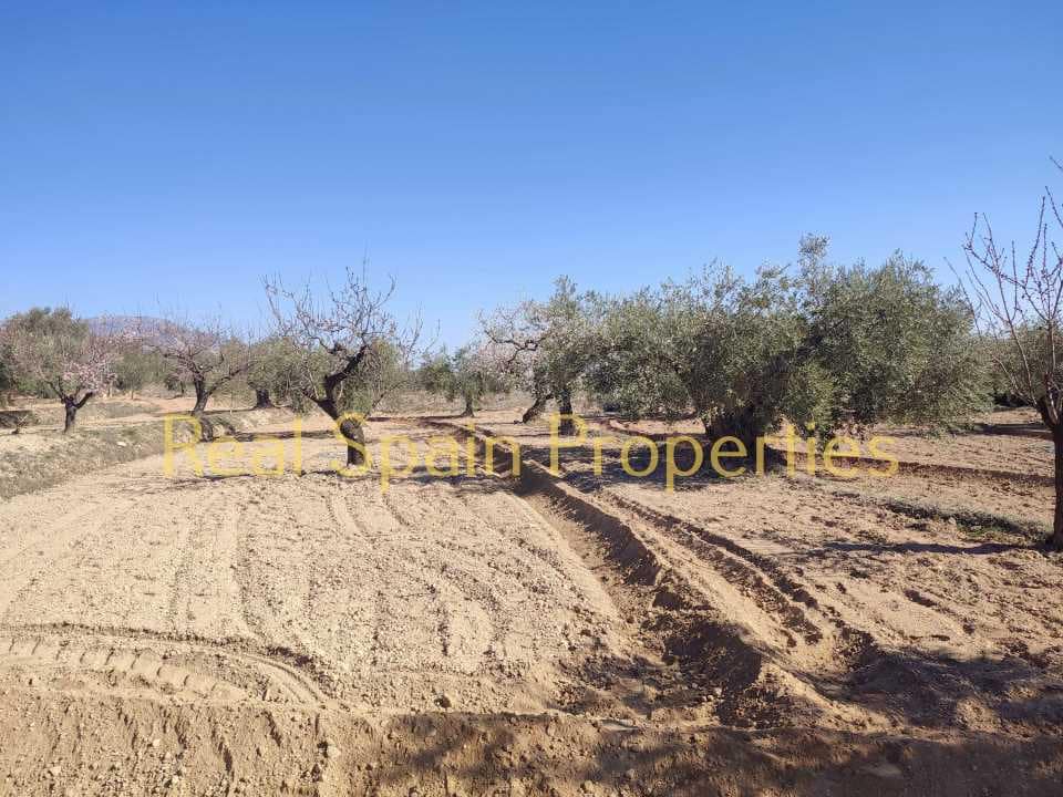 Grunde uden byggetilladelser til salg i Velez-Rubio - € 25.000 (Ref: 8417316)