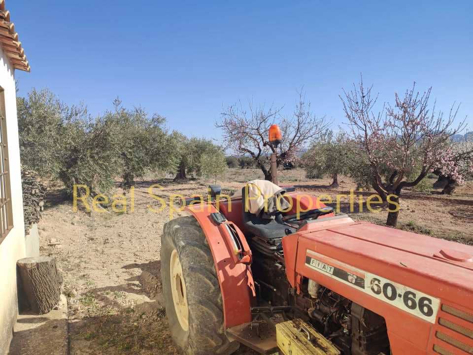 Grunde uden byggetilladelser til salg i Velez-Rubio - € 25.000 (Ref: 8417316)