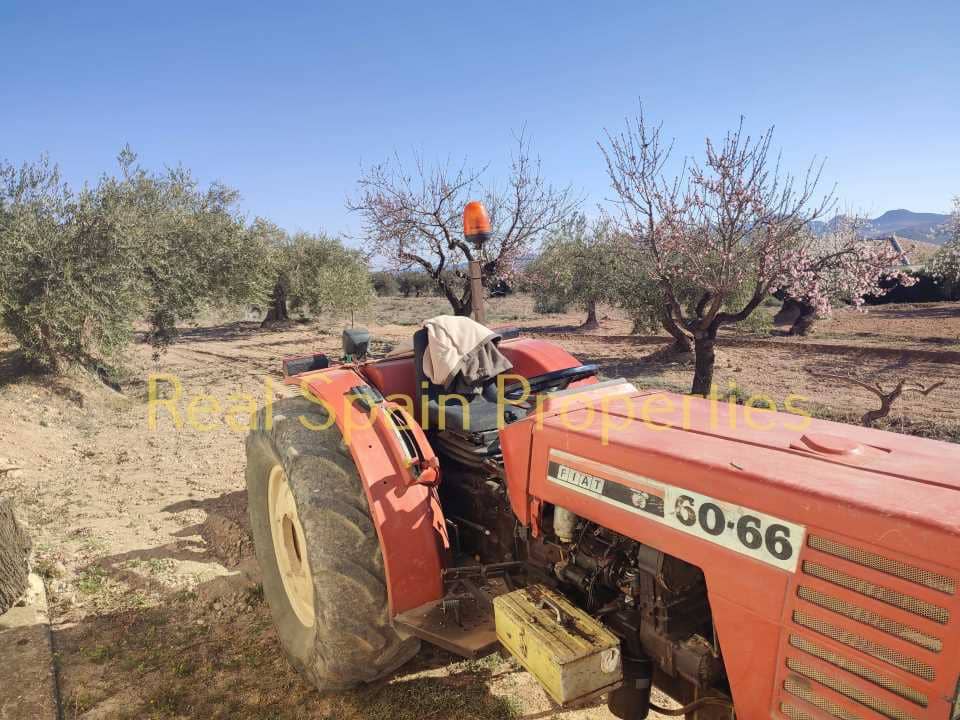 Grunde uden byggetilladelser til salg i Velez-Rubio - € 25.000 (Ref: 8417316)