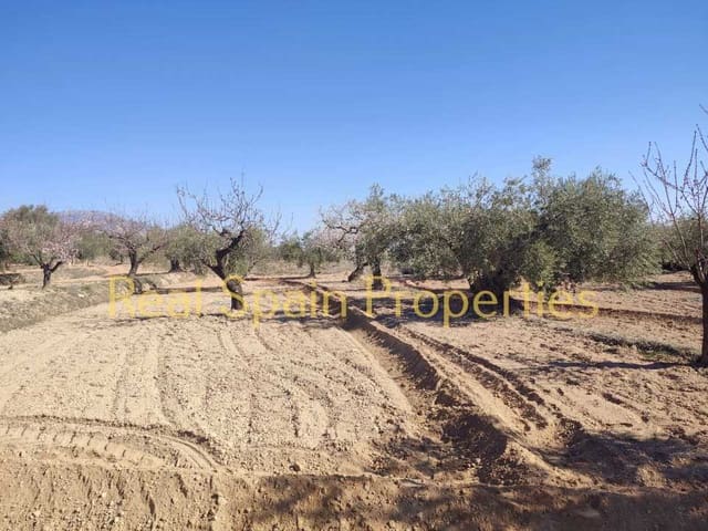 Mark till salu i Vélez-Rubio - 25 000 € (Ref: 8417316)