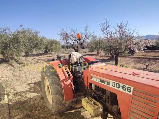 Mark till salu i Vélez-Rubio - 25 000 € (Ref: 8417316)