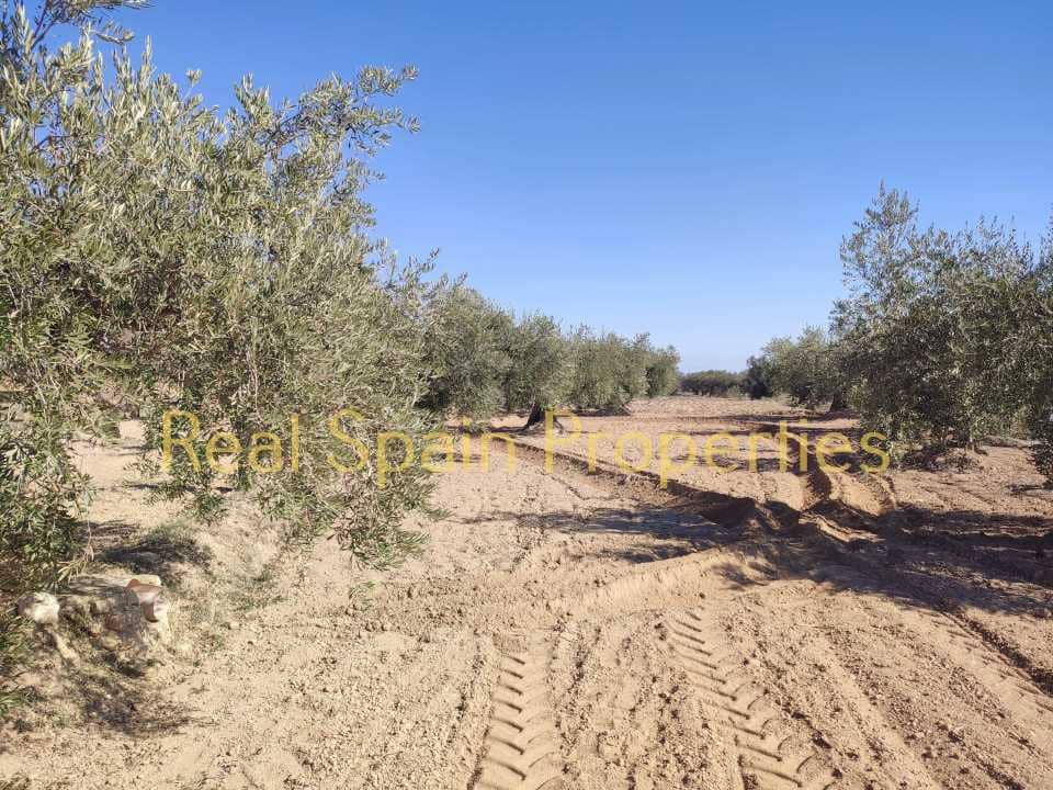 Grunde uden byggetilladelser til salg i Velez-Rubio - € 25.000 (Ref: 8417316)