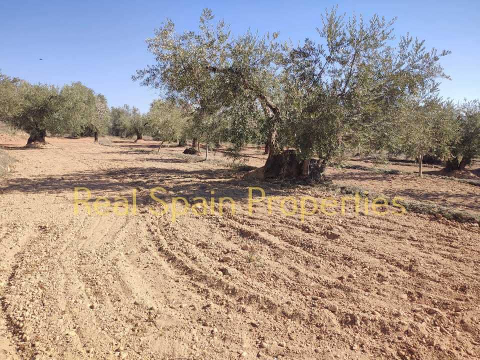 Grunde uden byggetilladelser til salg i Velez-Rubio - € 25.000 (Ref: 8417316)