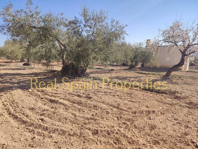 Mark till salu i Vélez-Rubio - 25 000 € (Ref: 8417316)