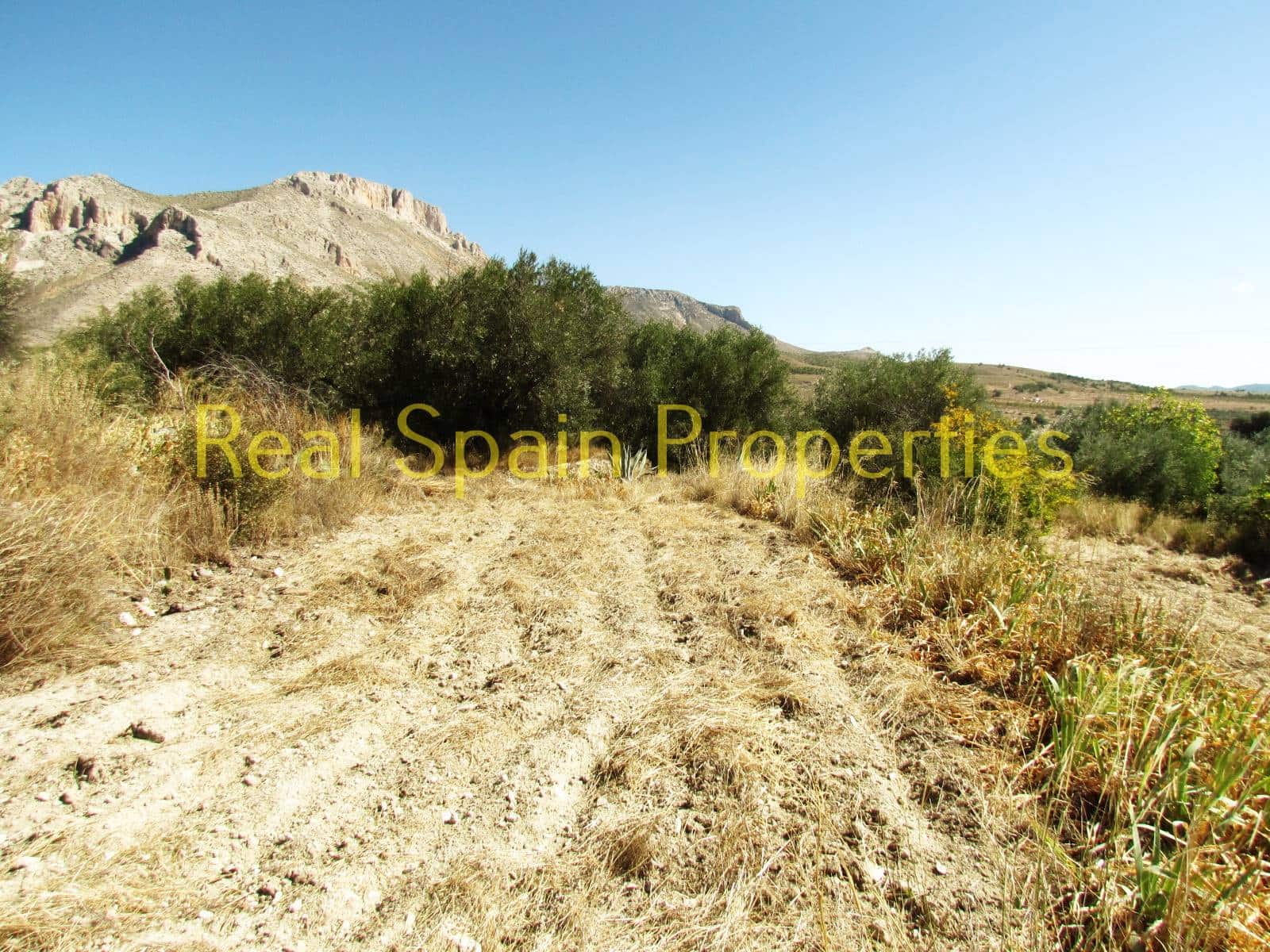 2 slaapkamer Finca/Landhuis te koop in Velez-Blanco - € 25.000 (Ref: 8417325)