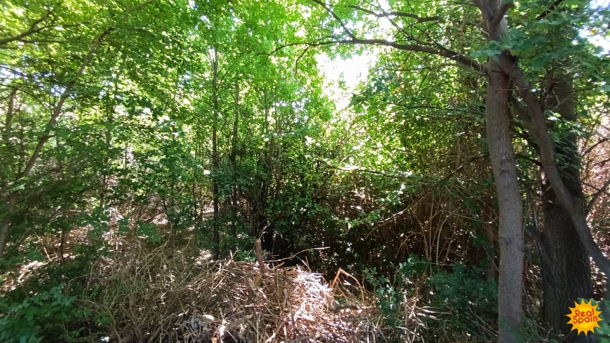 4 slaapkamer Finca/Landhuis te koop in Chirivel - € 27.000 (Ref: 8436148)