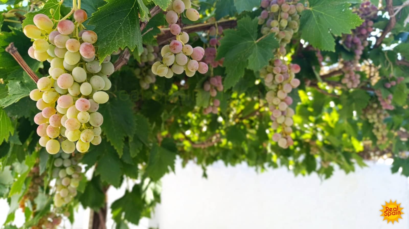 4 soveværelse Byhus til salg i Cullar - € 69.000 (Ref: 8571148)