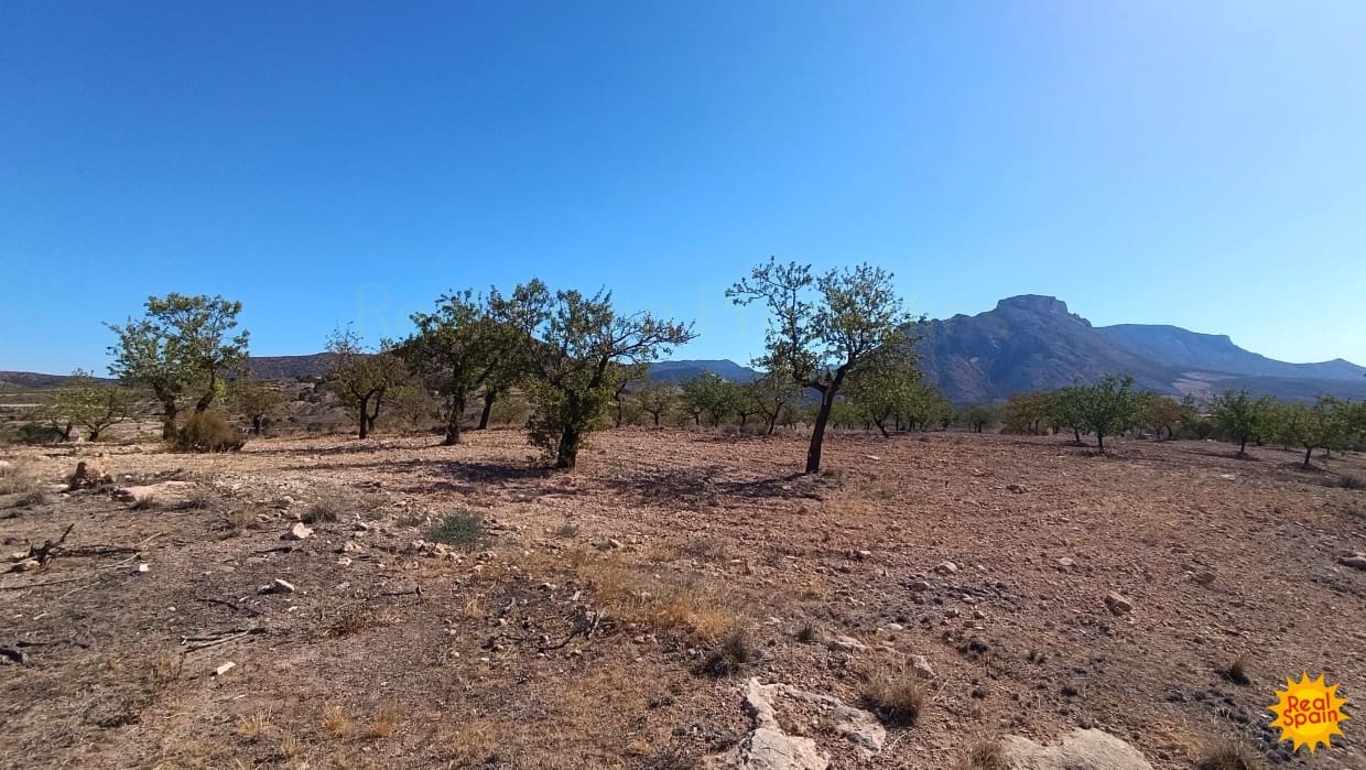 4 quarto Quinta/Casa Rural para venda em Velez-Blanco - 79 000 € (Ref: 8835476)