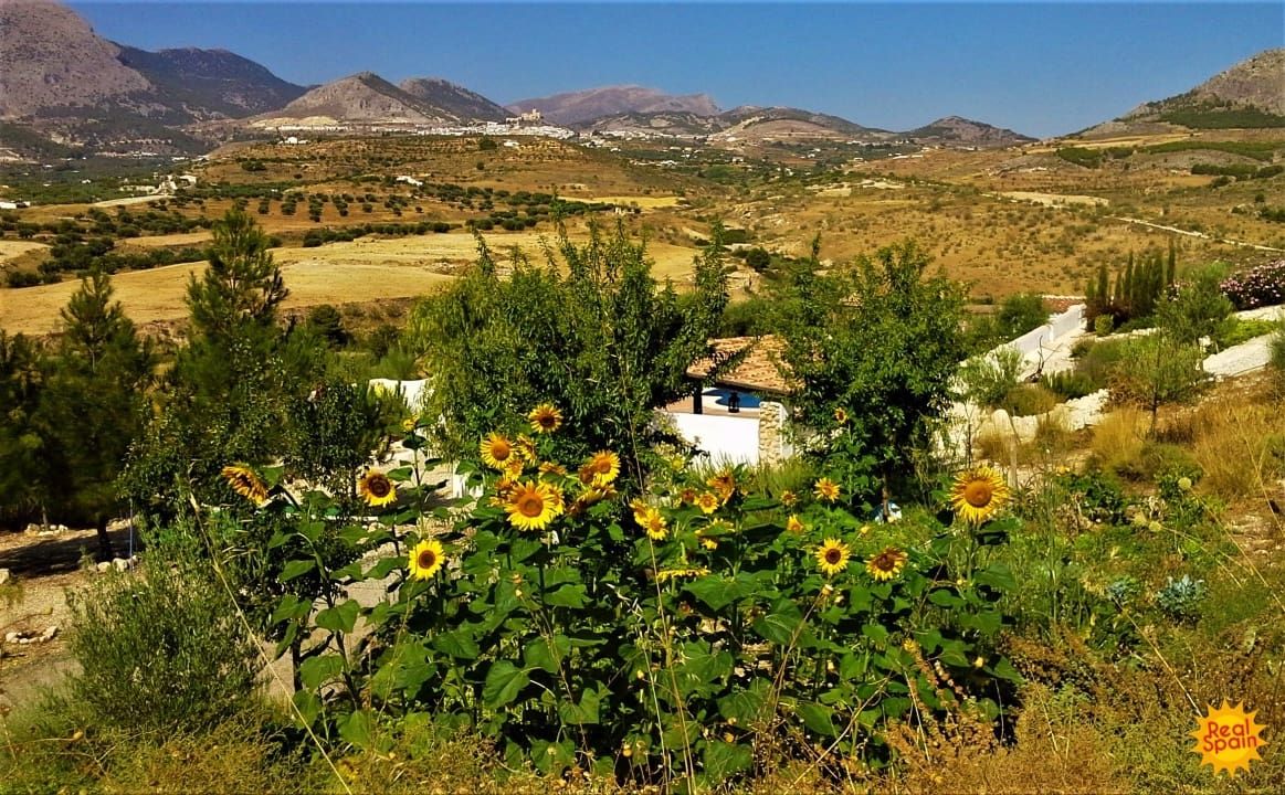 7 soverom Finca/Herregård til salgs i Velez-Blanco med svømmebasseng - € 695 000 (Ref: 8930198)