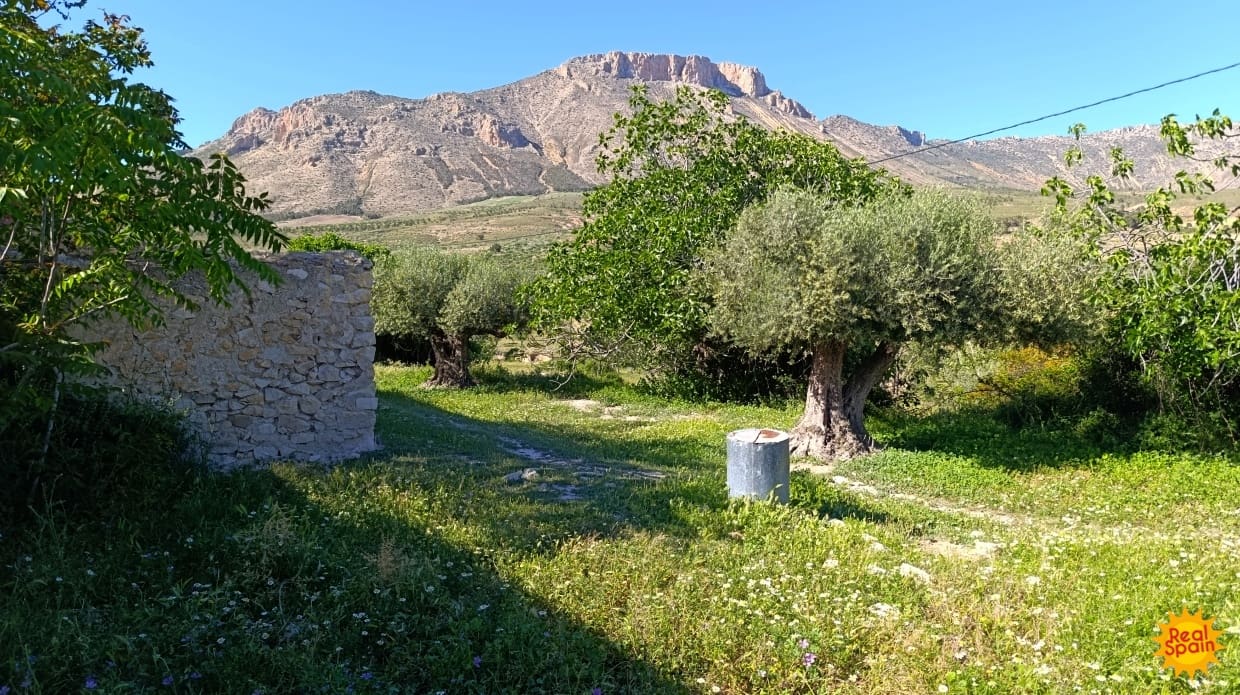 5 soveværelse Finca/Landehus til salg i Velez-Blanco - € 79.900 (Ref: 9013687)