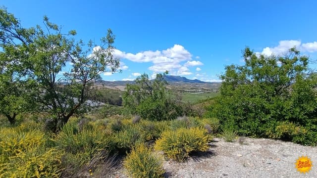 4 chambre Finca/Maison de Campagne à vendre à Vélez-Rubio - 165 000 € (Ref: 9107660)