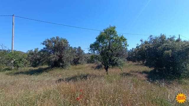 Finca/Hus på landet till salu i Vélez-Rubio - 43 000 € (Ref: 9130250)