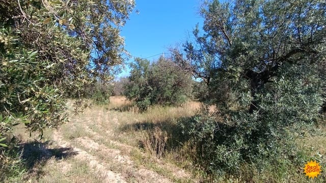 Finca/Hus på landet till salu i Vélez-Rubio - 43 000 € (Ref: 9130250)