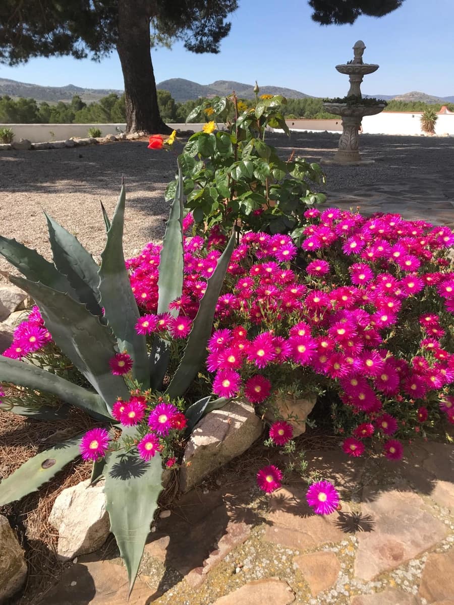 6 bedroom Finca/Country House for sale in Chirivel with pool - € 499,000 (Ref: 9188707)