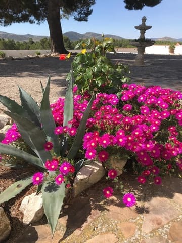 6 quarto Quinta/Casa Rural para venda em Chirivel com piscina - 499 000 € (Ref: 9188707)