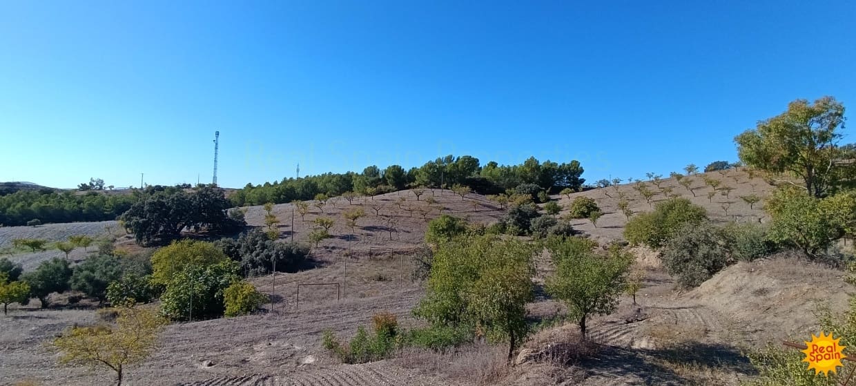 4 chambre Finca/Maison de Campagne à vendre à Henares - 89 000 € (Ref: 9371764)